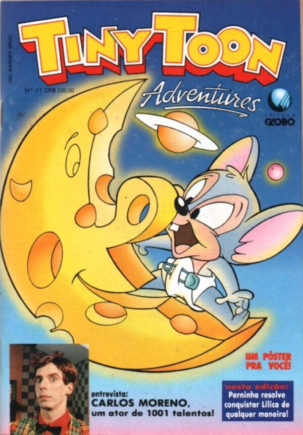 Tiny Toon Adventures 11
